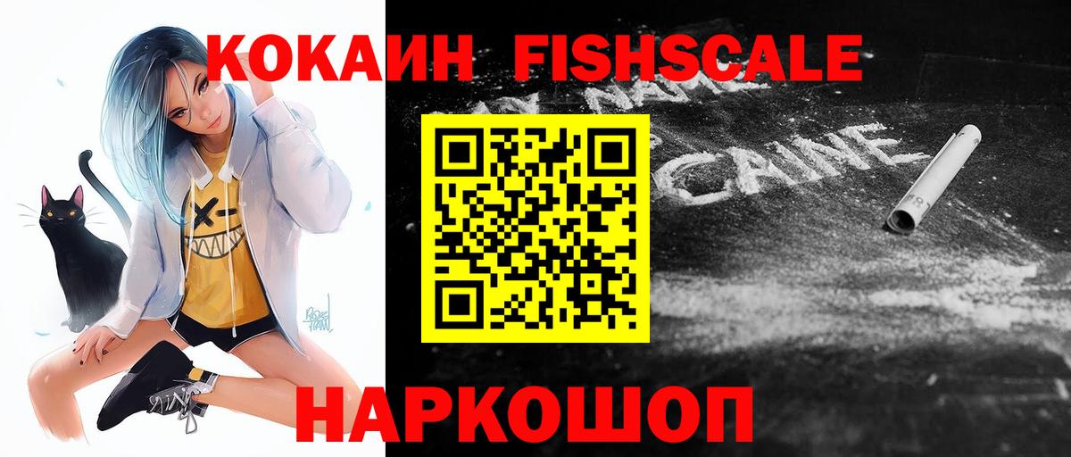 Cocaine Fish Scale  Вход с VPN  Ревда  хочу   Cocaine VHQ 