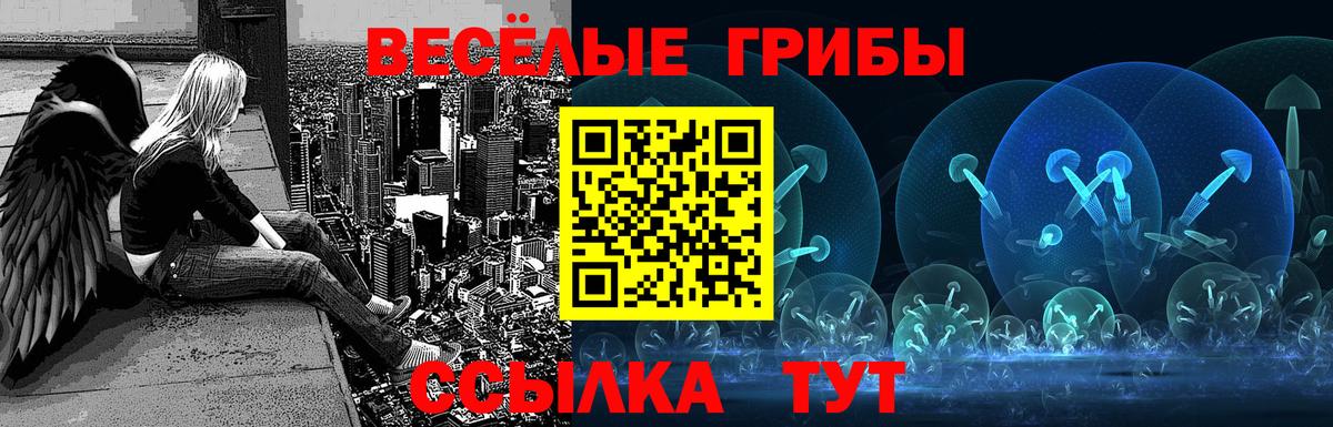 Псилоцибиновые грибы MAGIC MUSHROOMS Ревда