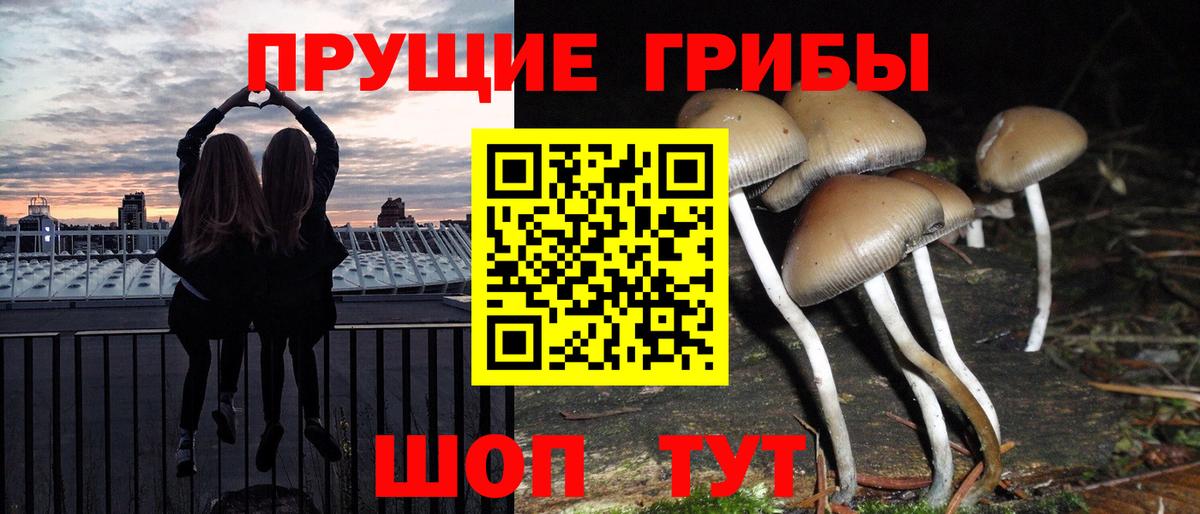 купить наркотик  Вход с VPN  Ревда  Псилоцибиновые грибы мицелий  Псилоцибиновые грибы мицелий 
